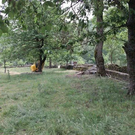 De Vereuges * Saint-Julien-Des-Chazes